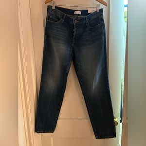 LOFT Boyfriend Jeans NWT Size 30/10